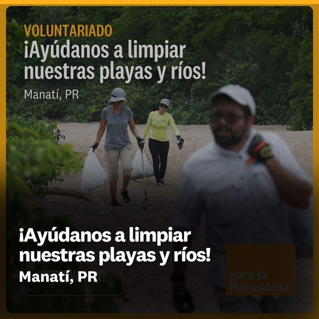 &iexcl;Ay&uacute;danos a limpiar nuestras playas y r&iacute;os!