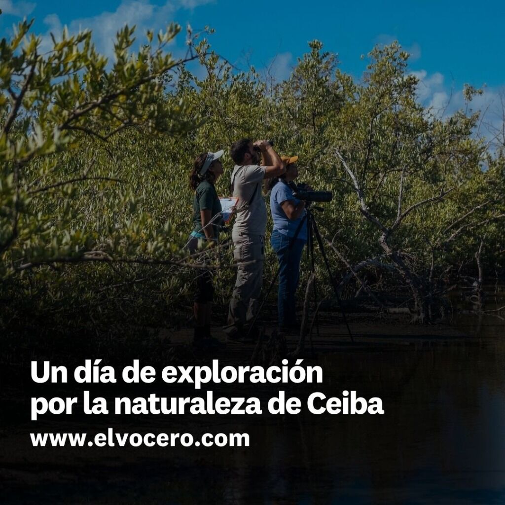 Un d&iacute;a de exploraci&oacute;n por la naturaleza de Ceiba