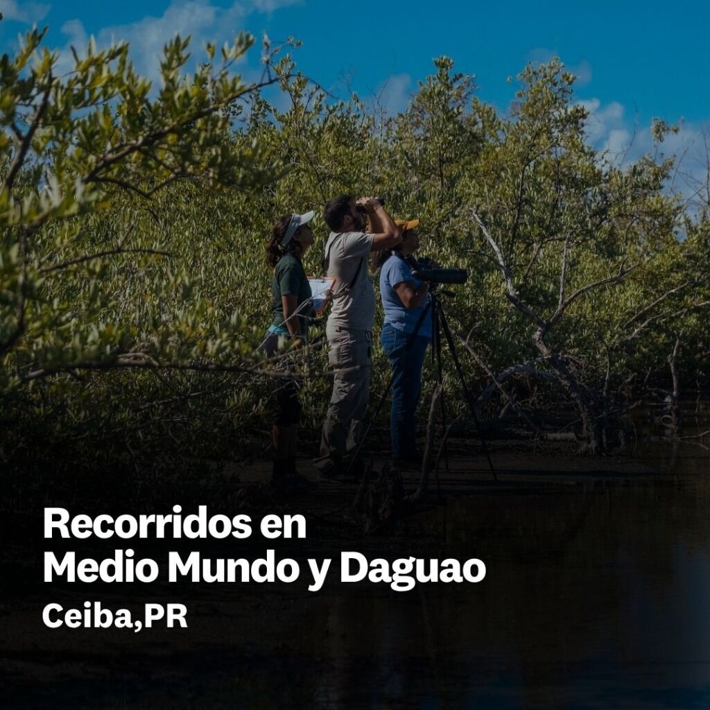 Medio Mundo y Daguao