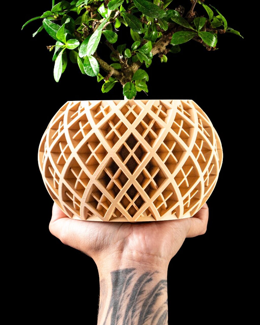 Planter Pot 004