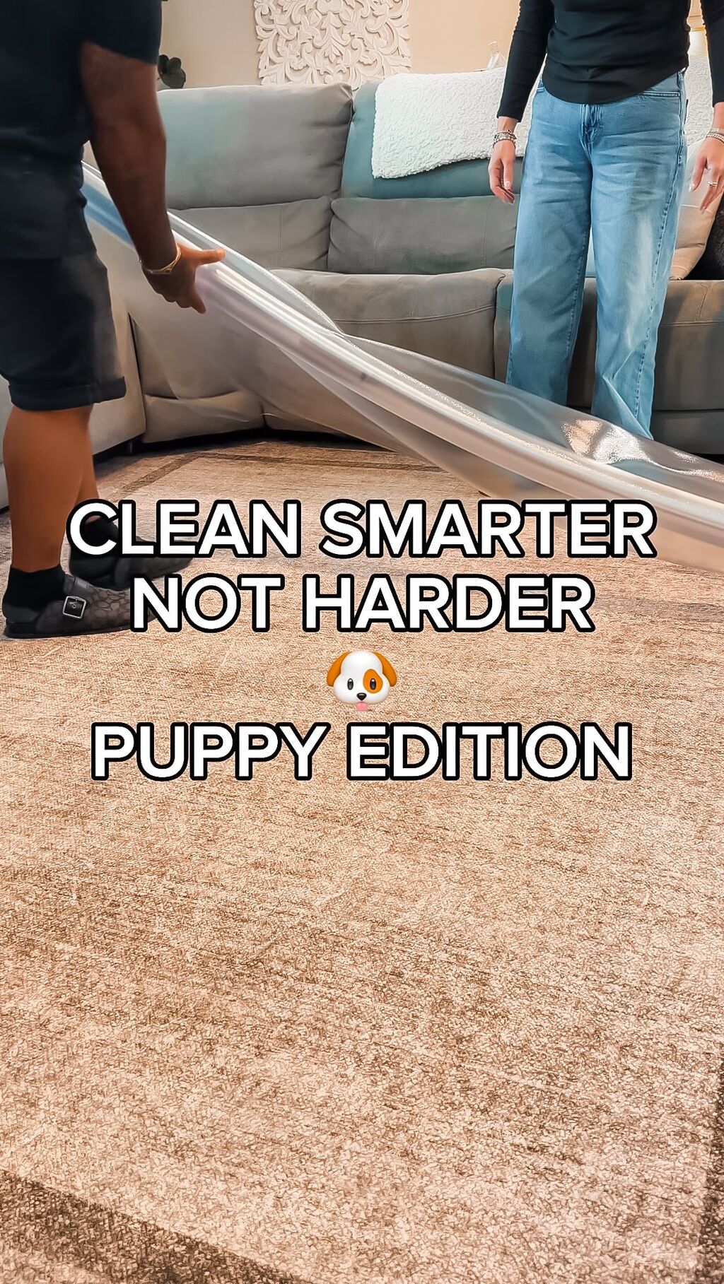 CLEAN SMARTER PUPPY EDITION