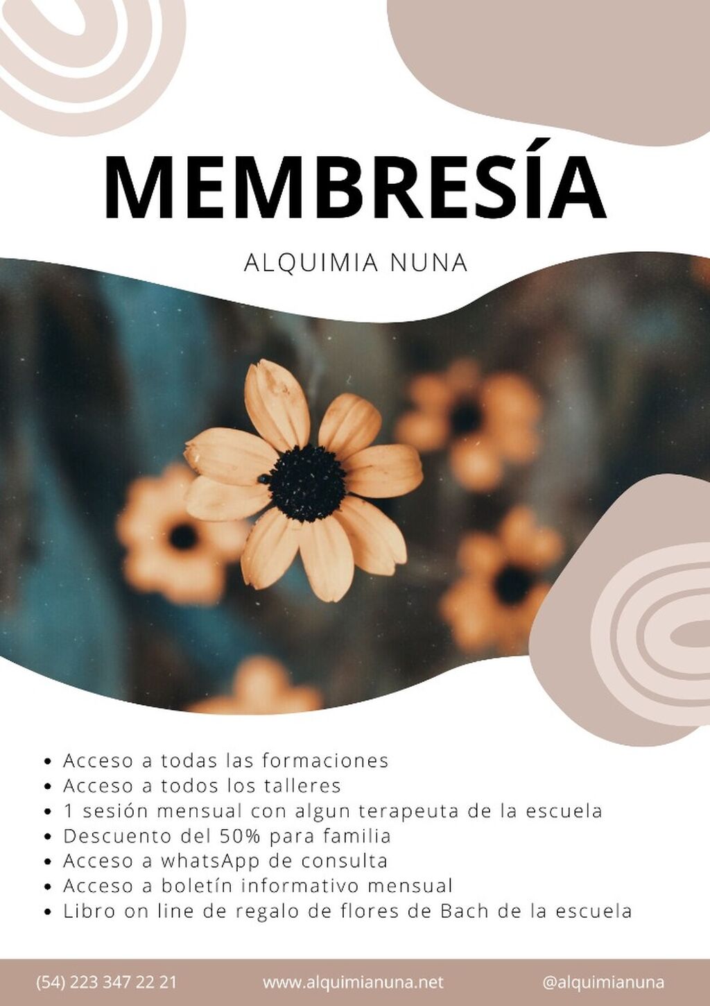 membres&iacute;a