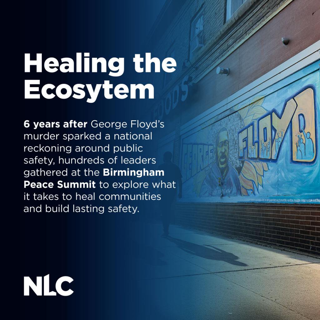 Healing the Ecosystem: What Cities Can Learn from the Birmingham Peace Summit