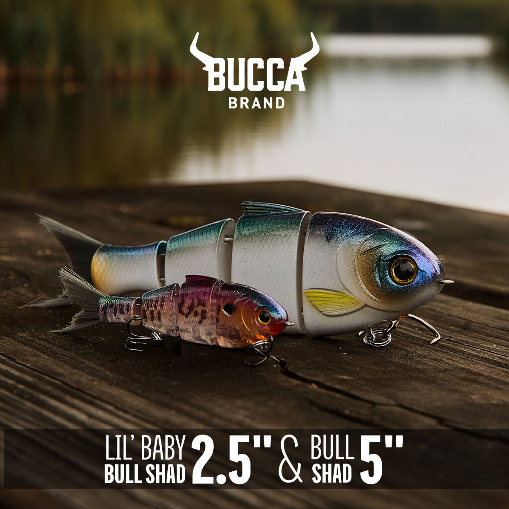 Lil' Baby Bull Shad 2.5" & Bull Shad 5"!