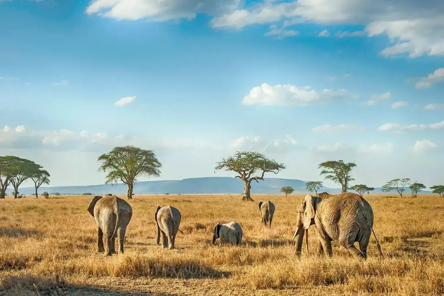 Tanzania Tourist Visa for UAE Residents: Complete 2026 Travel Guide
