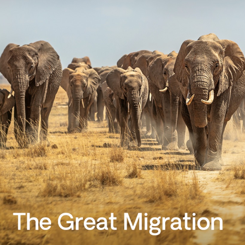 Great Migration