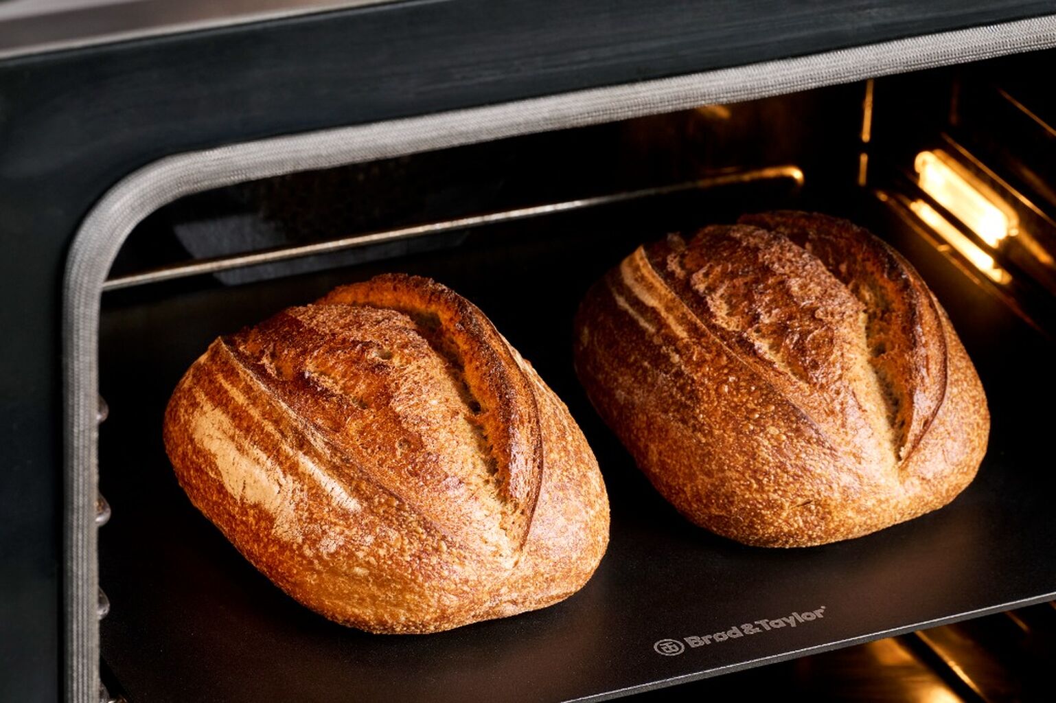 🆕 BREAD STEEL DUO