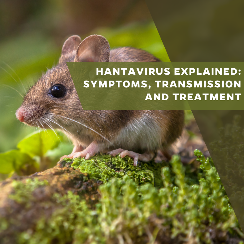 Hantavirus explained: Symptoms, transmission and treatment