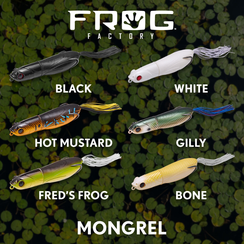 New Frog Factory Mongrel!