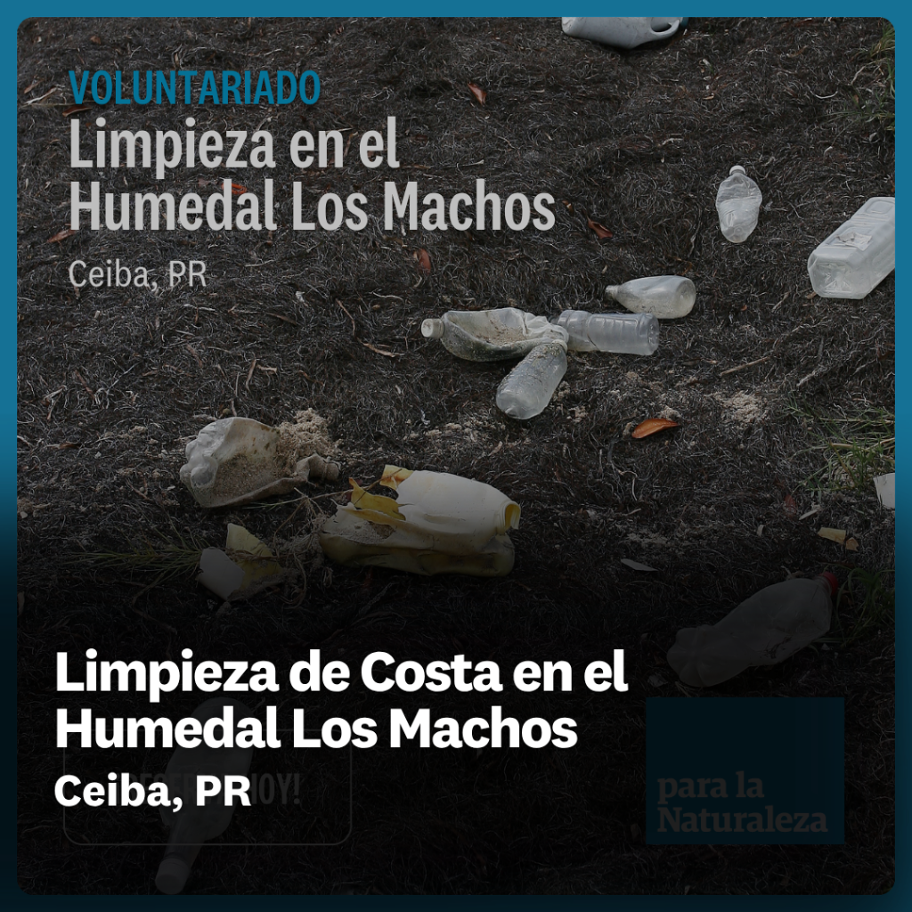 Limpieza de Costa en el Humedal Los Machos