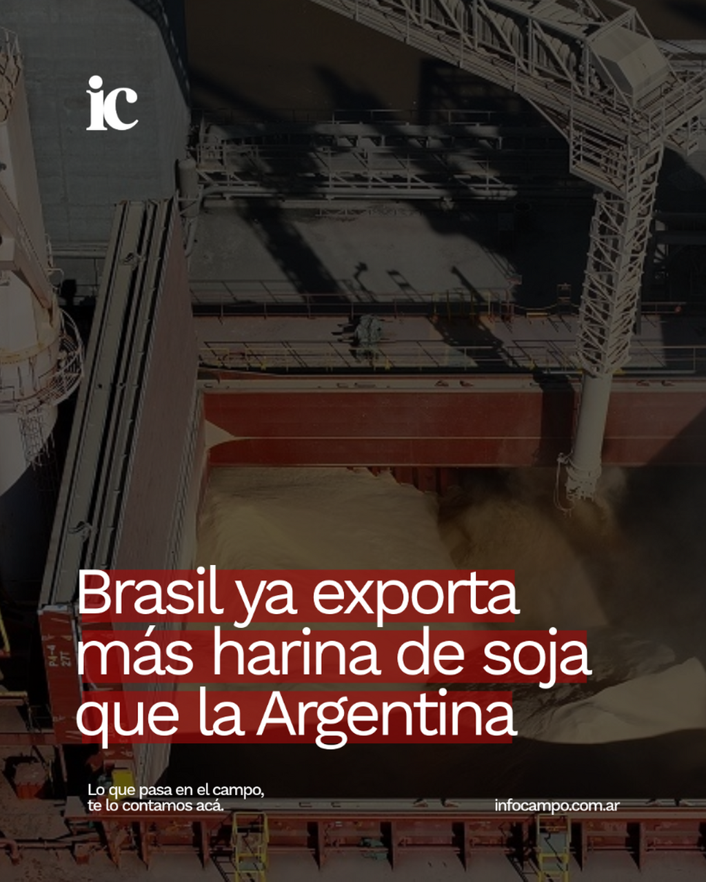 Una derrota dolorosa en el mundial del agro: Brasil ya exporta m&aacute;s harina de soja que la Argentina | Infocampo