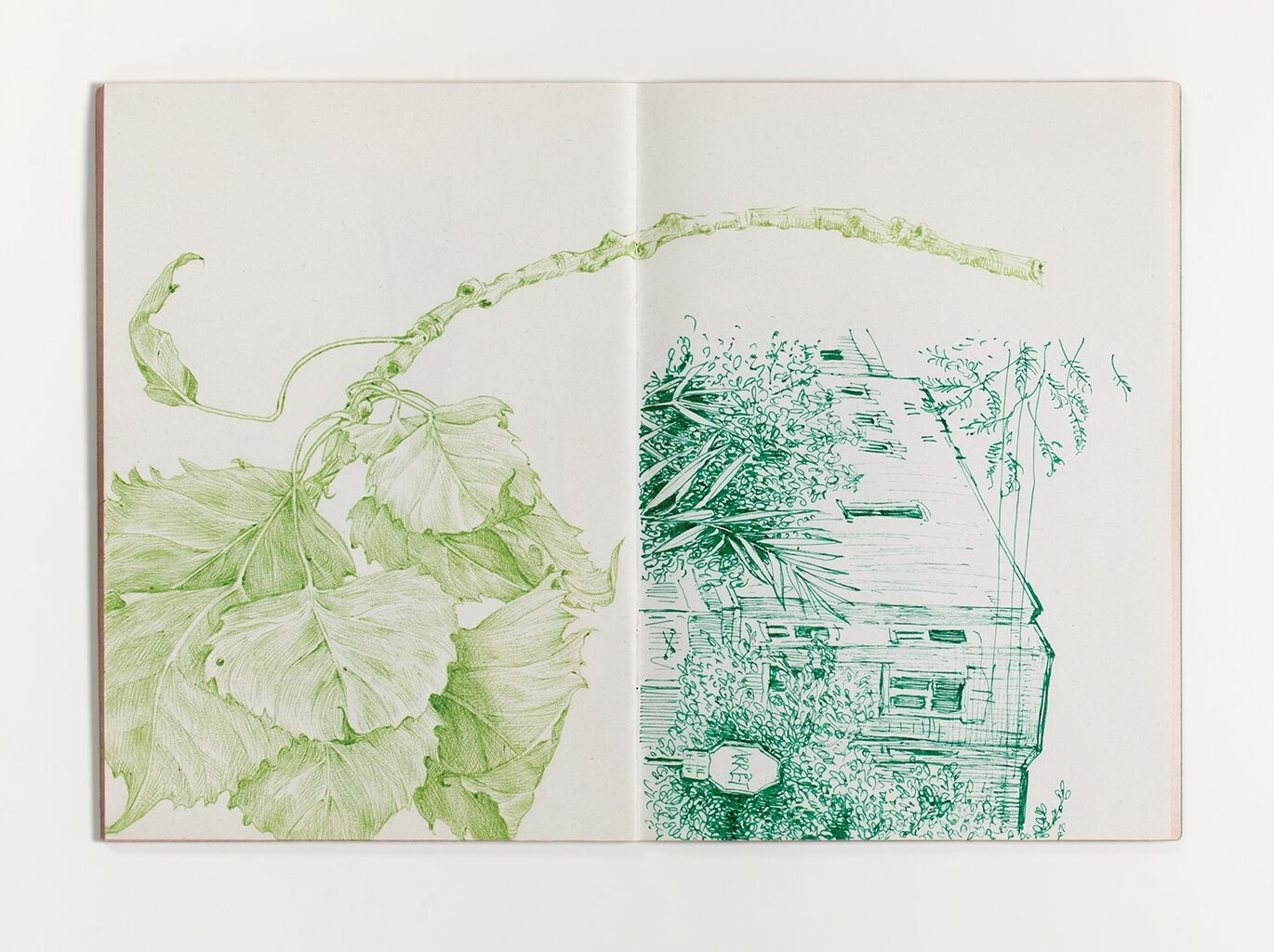 Artist Talk: Zachari Logan, Green