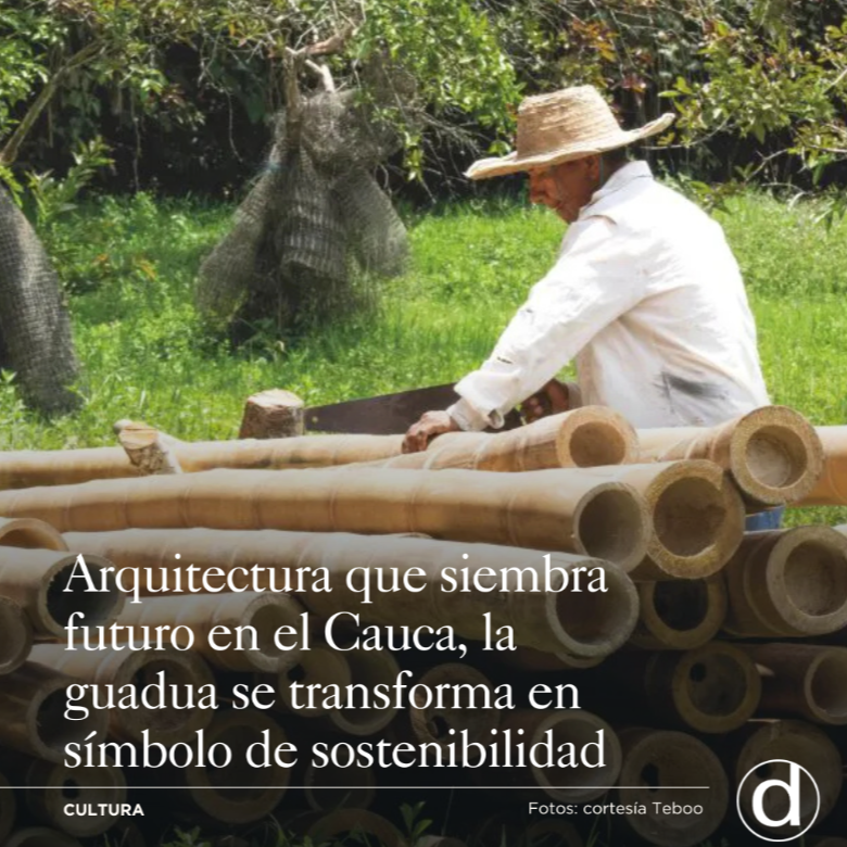 Arquitectura que siembra futuro: la guadua como motor de cambio en el Cauca