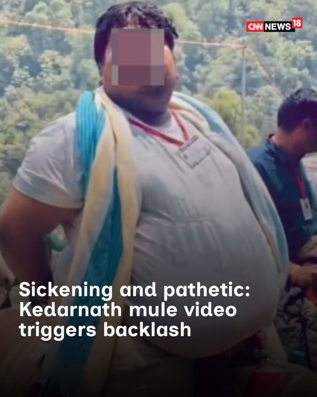 Sickening and pathetic: Kedarnath mule video triggers backlash