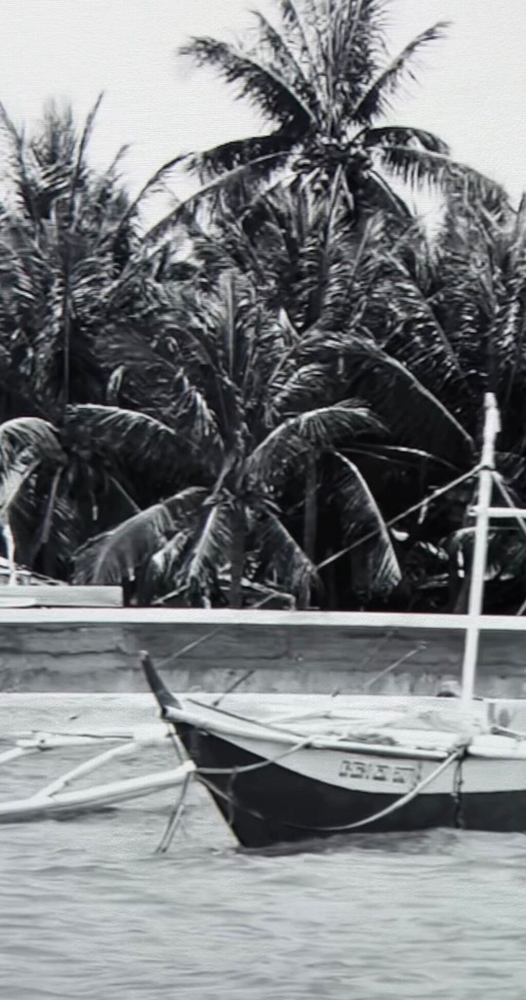 The Coconut Tree Methodology