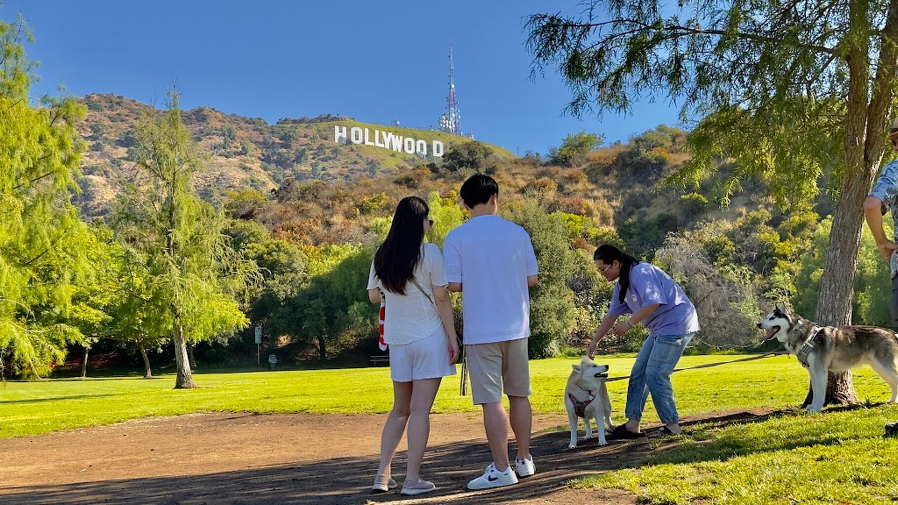 🌴📸 4-Hour Hollywood Sign Walking & Hiking Tour -  The Best LA Experience