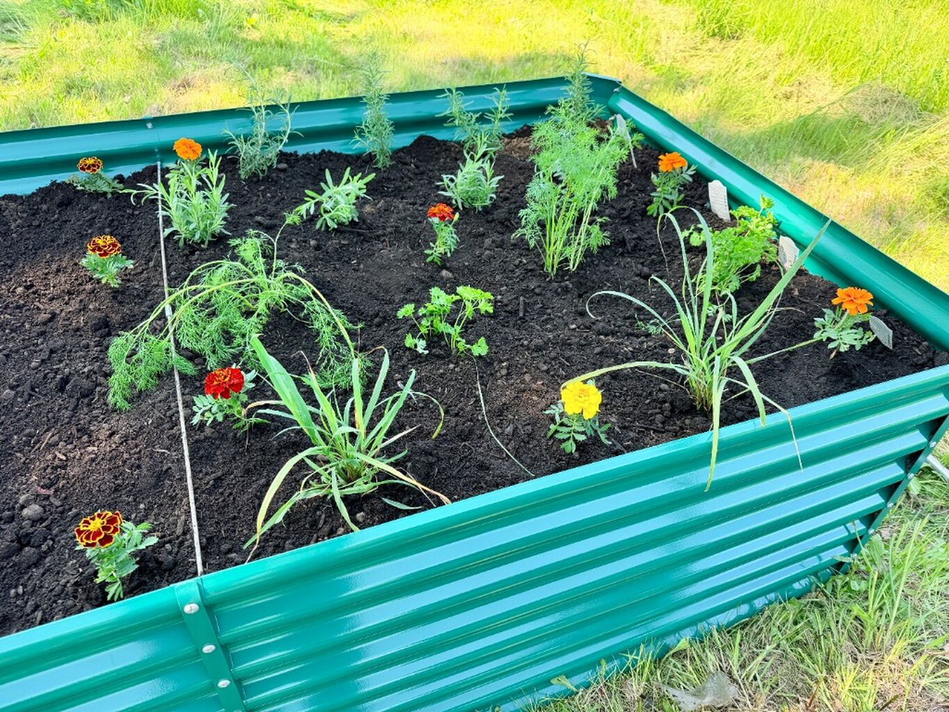 Land Guard Raised Bed - Use code FARMLIFE15 for 15% off