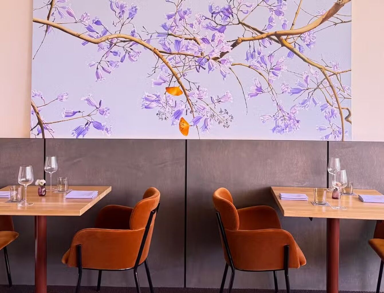 Jacaranda