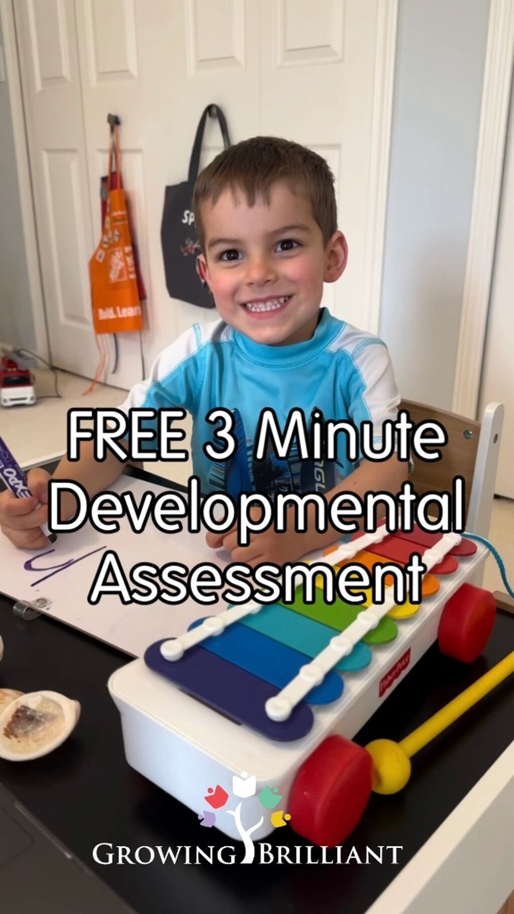Growing Brilliant Assessment
