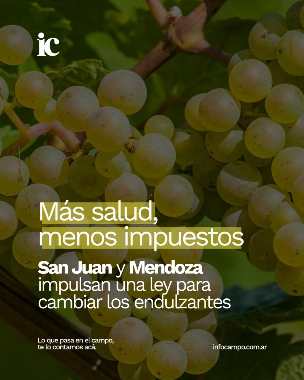 La salud de los jugos naturales: San Juan y Mendoza impulsan una ley para potenciar al mosto | Infocampo