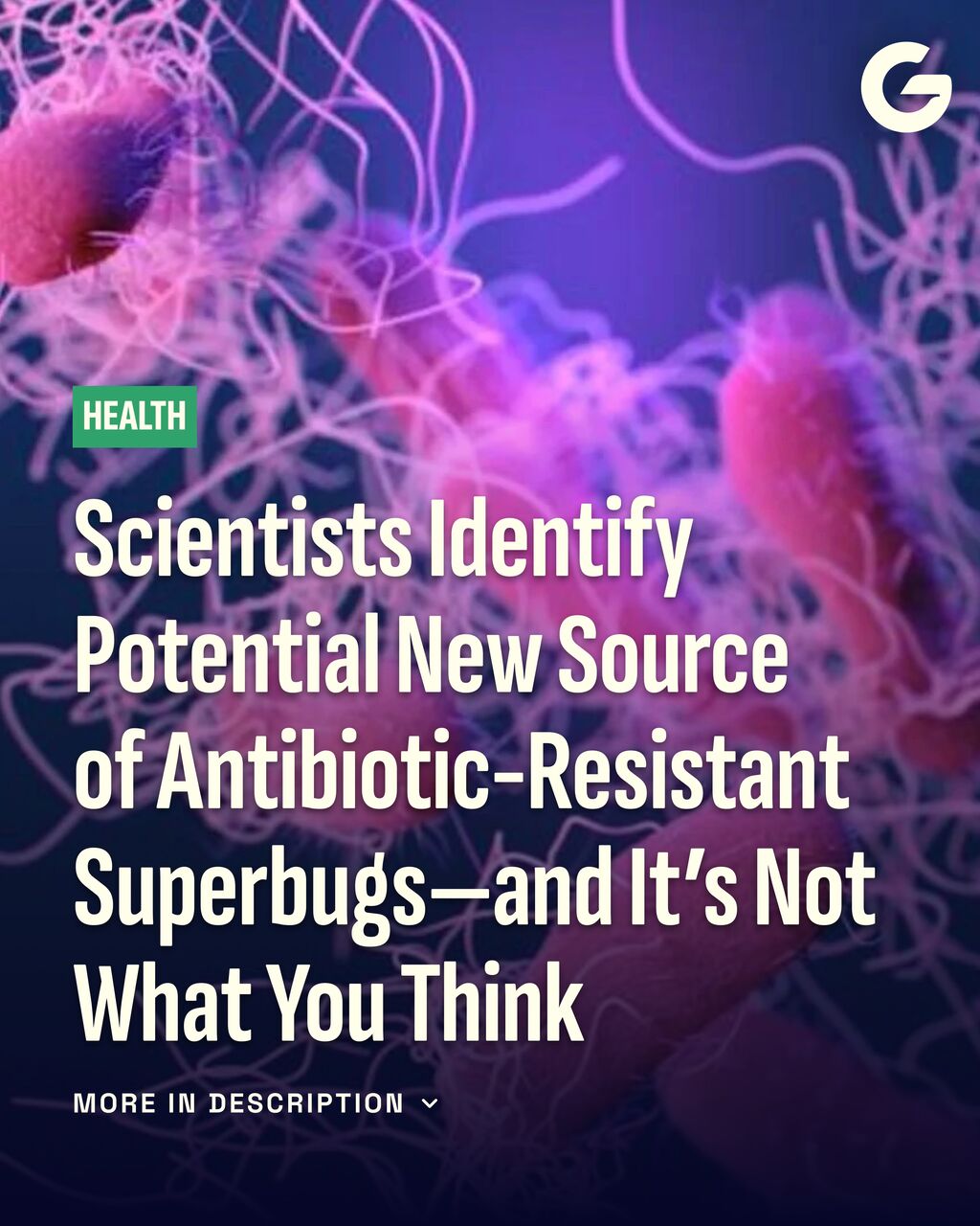 Scientists Identify Potential New Source of Antibiotic-Resistant Superbugs&mdash;and It&rsquo;s Not What You Think