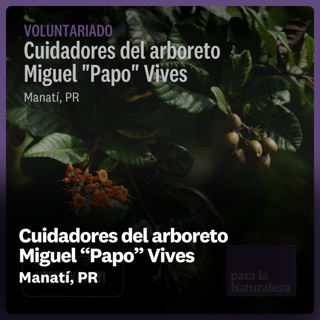 Cuidadores del arboreto  Miguel &ldquo;Papo&rdquo; Vives