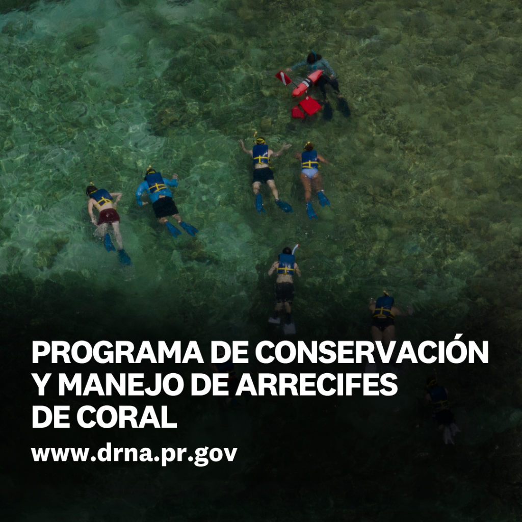 PROGRAMA DE CONSERVACI&Oacute;N Y MANEJO DE ARRECIFES DE CORAL