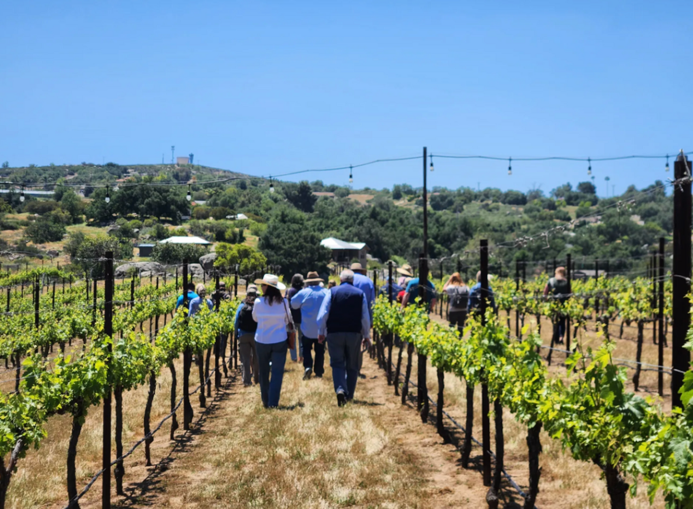Registration open for 2026 California Agritourism Summit Sept. 23-25