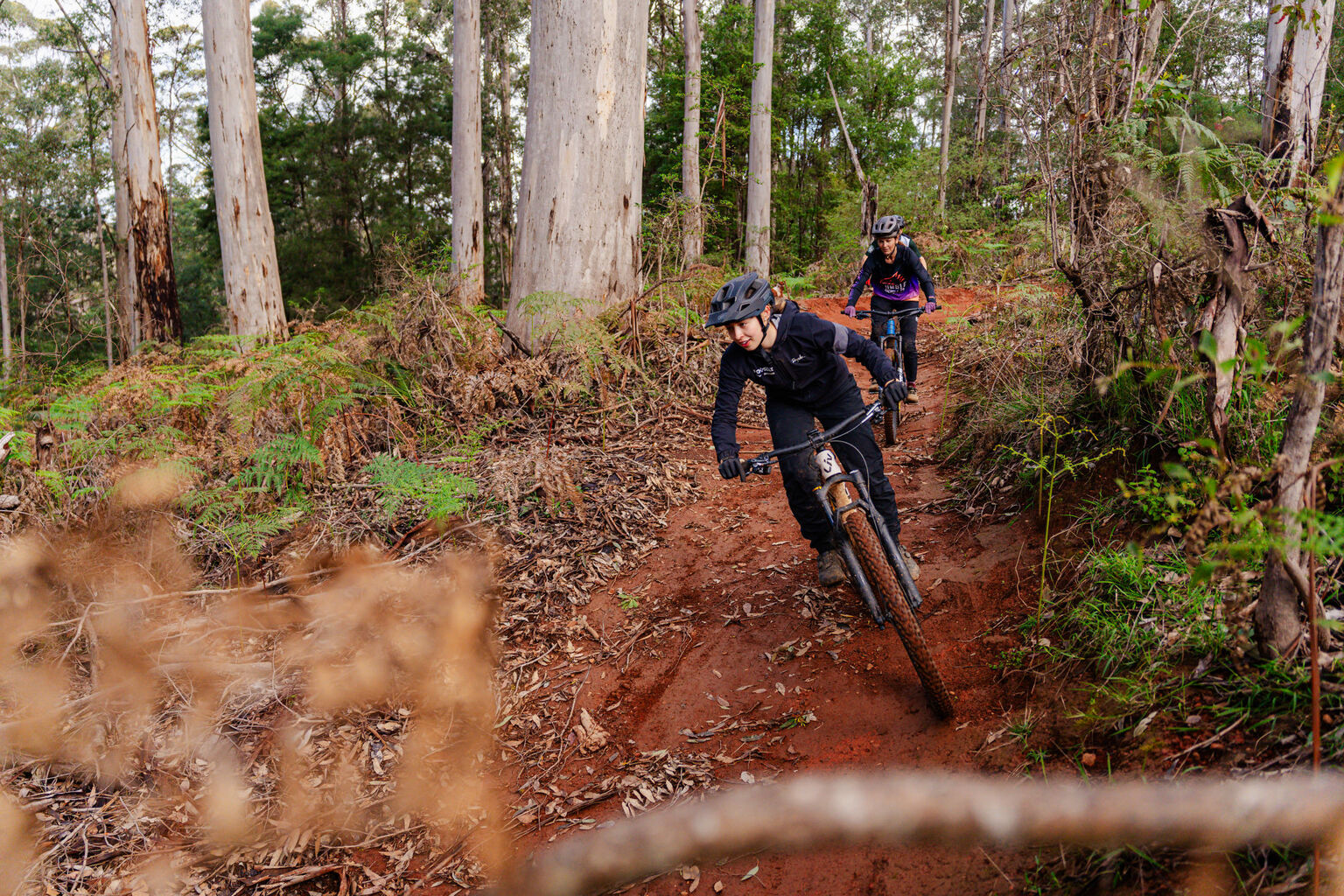 Karri Loam & Contrasting Trails | Riding singletrack new and old in Pemberton WA