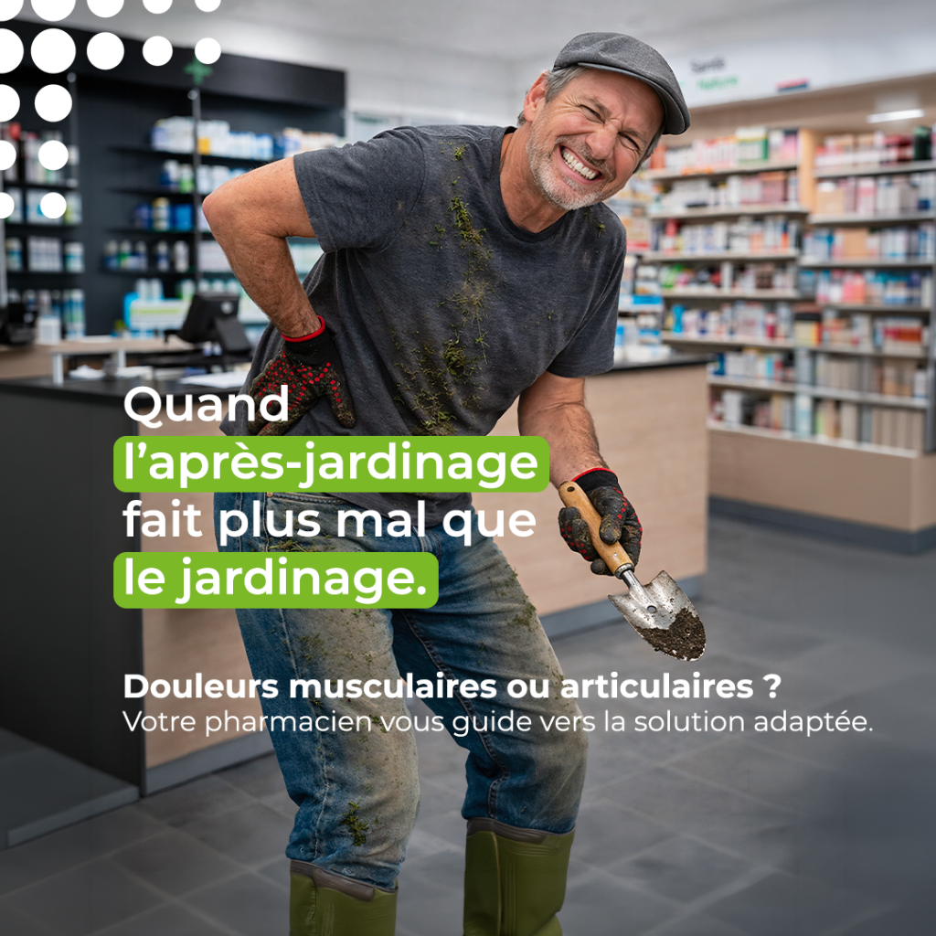 Muscles et articulations