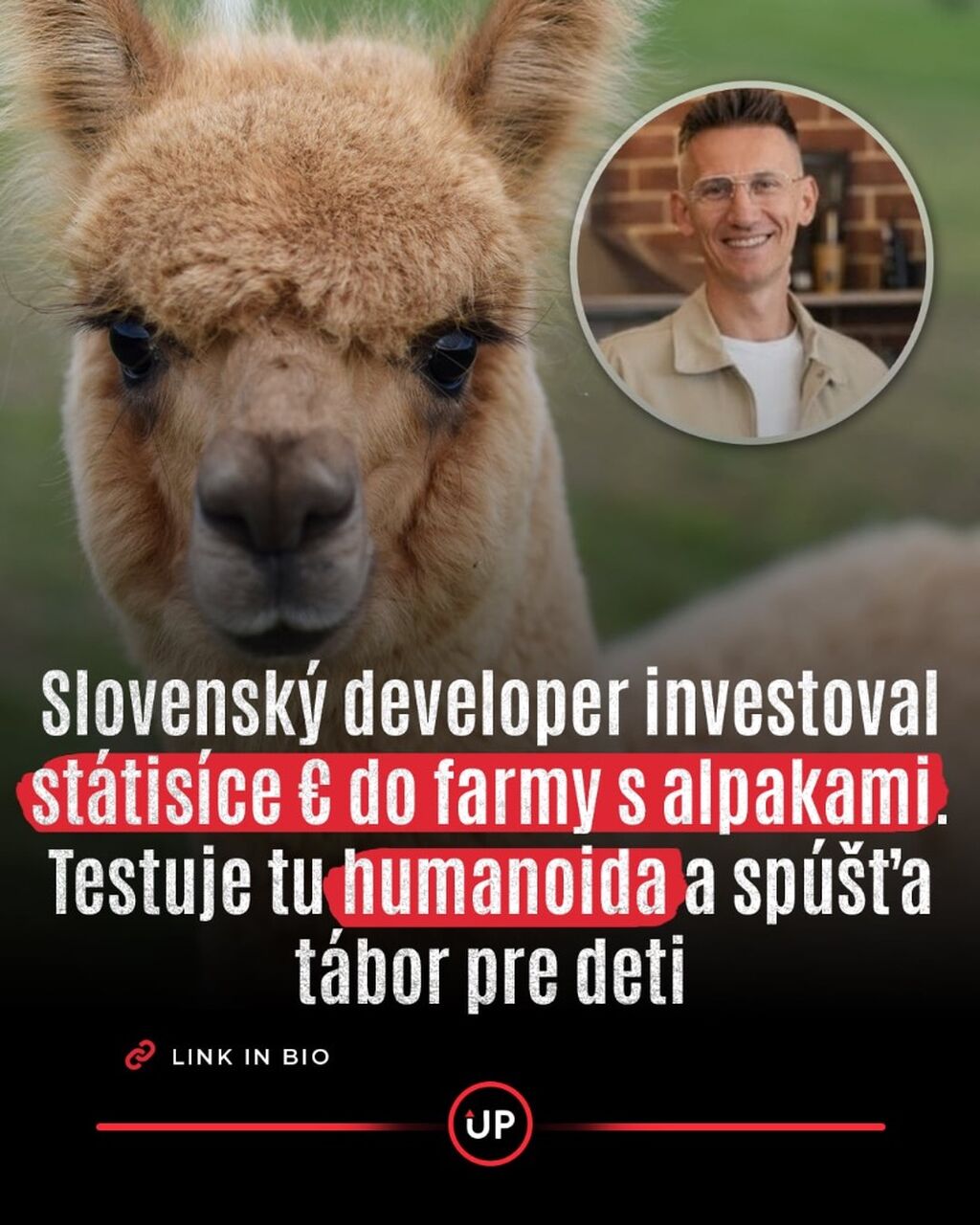 Slovensk&yacute; developer investoval st&aacute;tis&iacute;ce eur do farmy s alpakami. Testuje tu humanoida a sp&uacute;&scaron;ťa t&aacute;bor pre deti