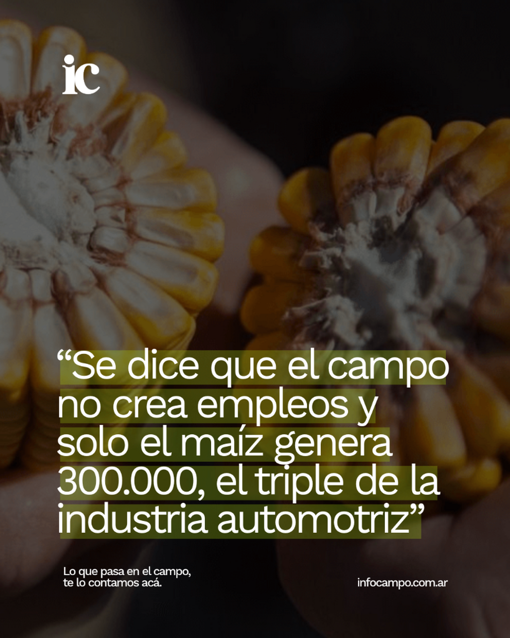 &ldquo;Se dice que el campo no crea empleos y solo el ma&iacute;z genera 300.000, el triple de la industria automotriz&rdquo; | Infocampo