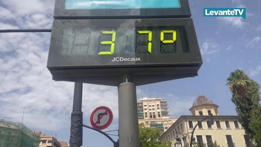 Alerta amarilla por calor extremo.