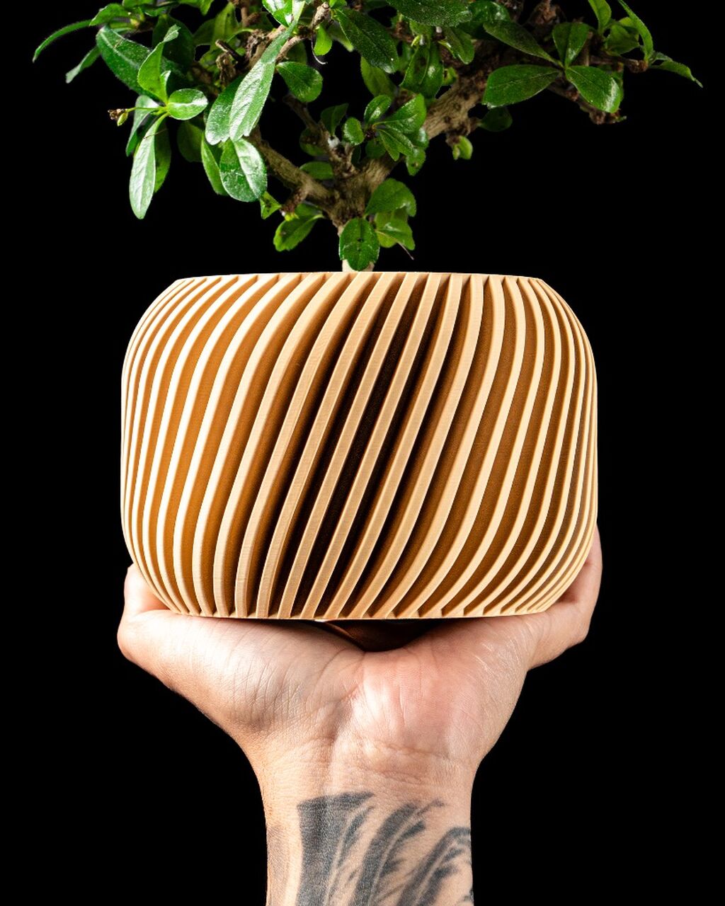 Planter Pot 005