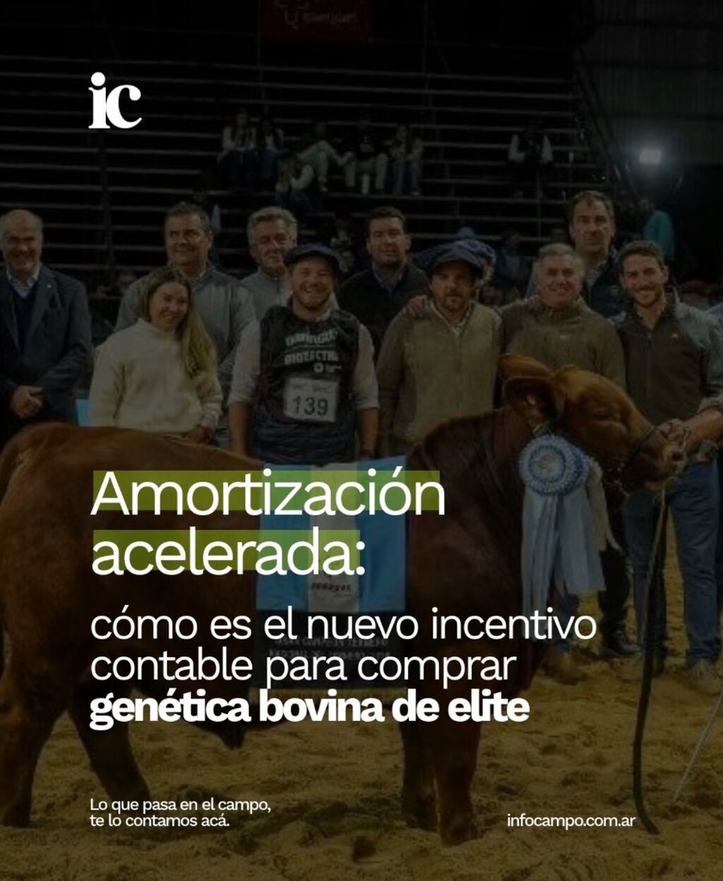 Amortizaci&oacute;n acelerada: c&oacute;mo es el nuevo incentivo contable para comprar gen&eacute;tica bovina de elite | Infocampo