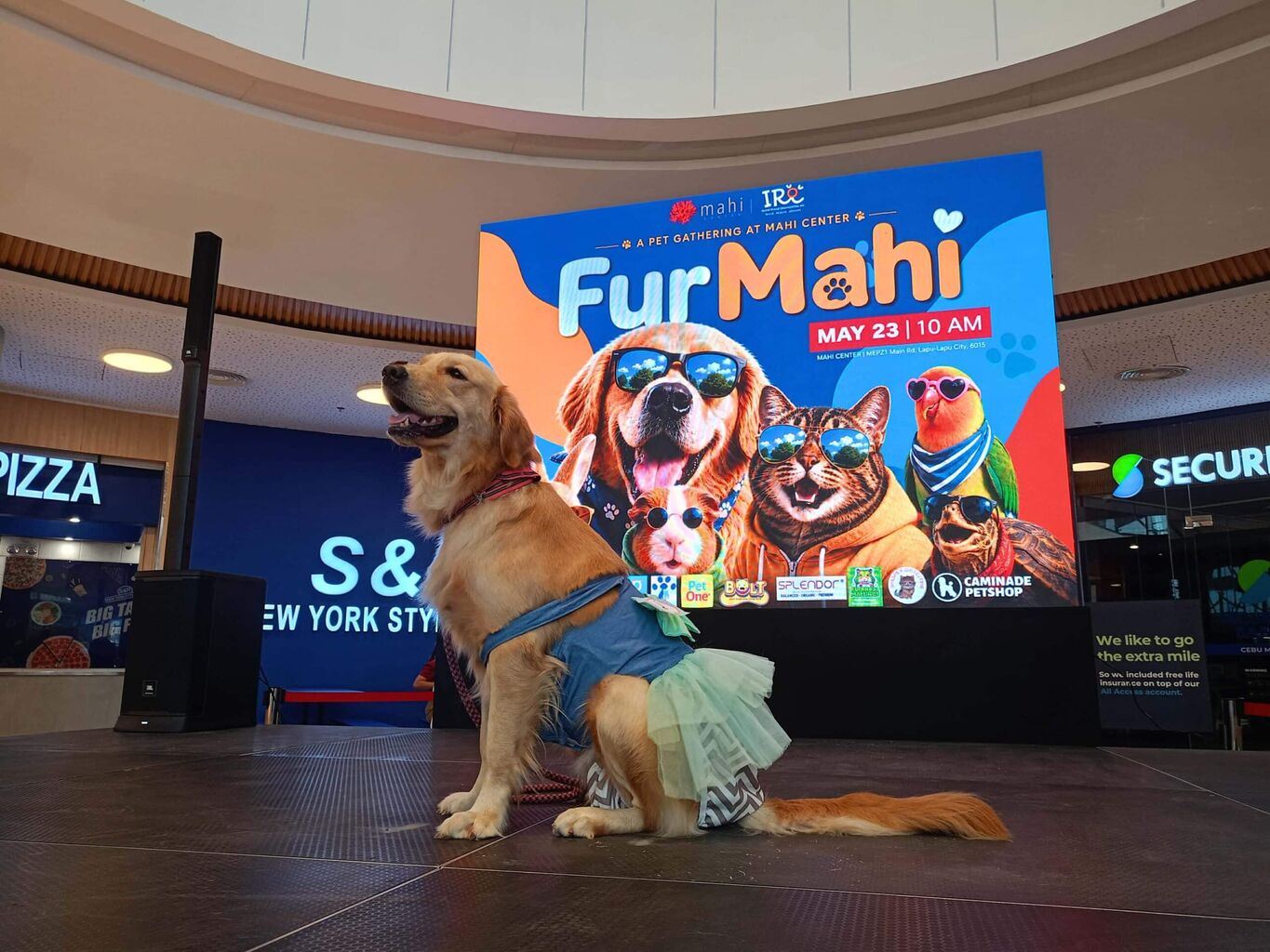 Mahi Center launches FurMahi for Cebu&rsquo;s growing furparent community
