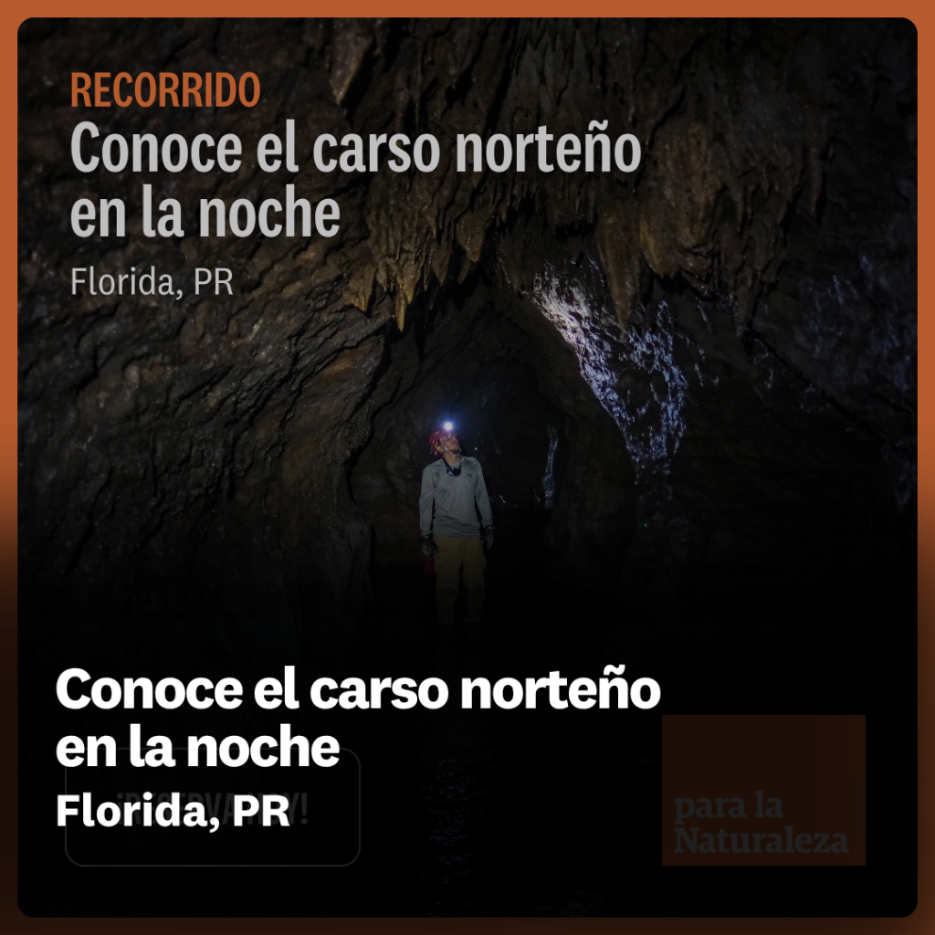 Conoce el carso norte&ntilde;o en la noche