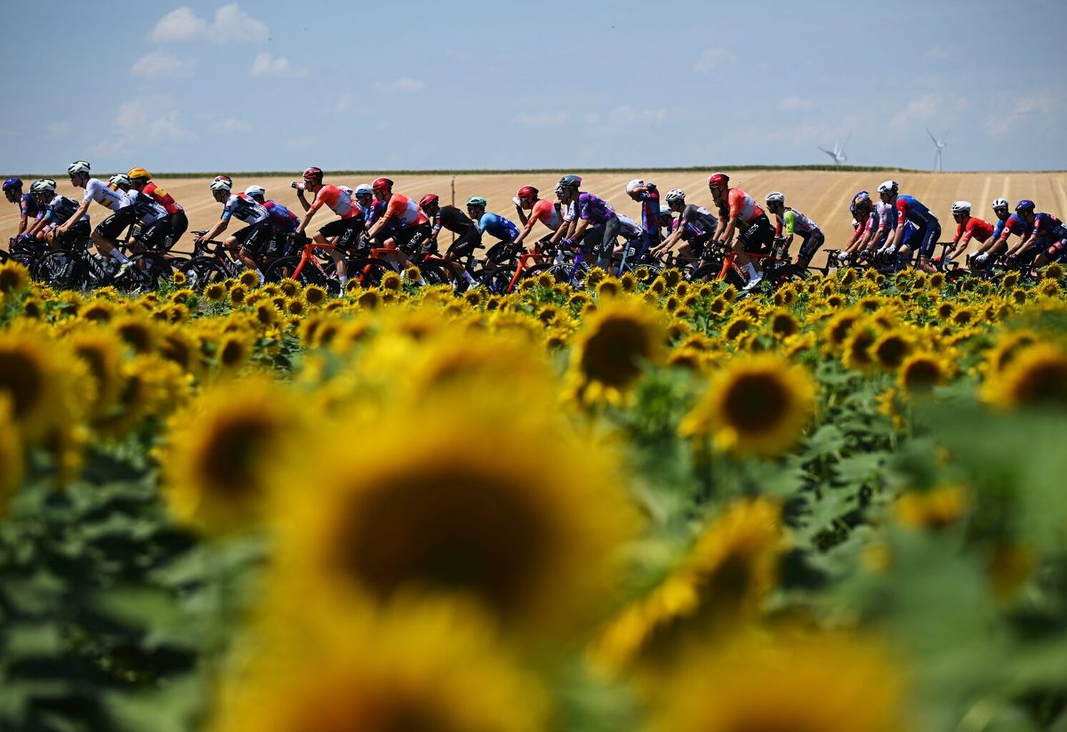 "I can go from leading a race to being dropped": if pollen allergies wreck your rides, here