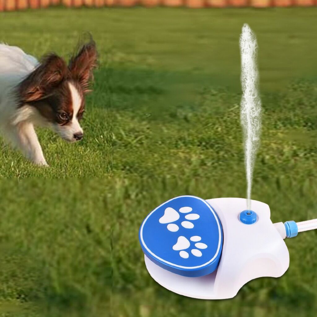 Paw Activated Dog Water Fountain Outdoor