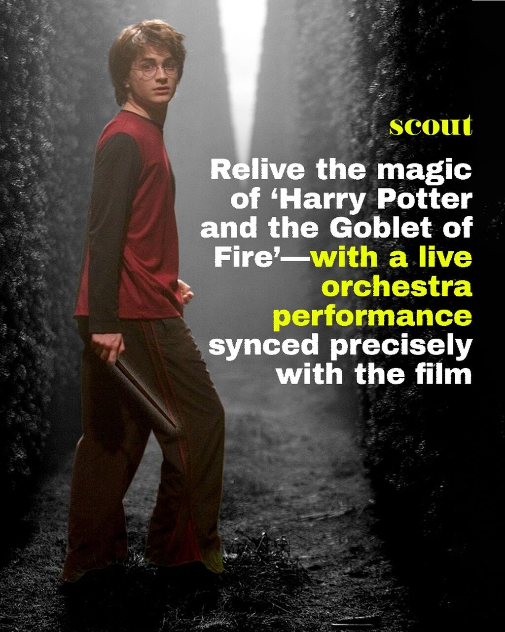 Witness musical magic at the &lsquo;Harry Potter and the Goblet of Fire&rsquo; orchestra concert