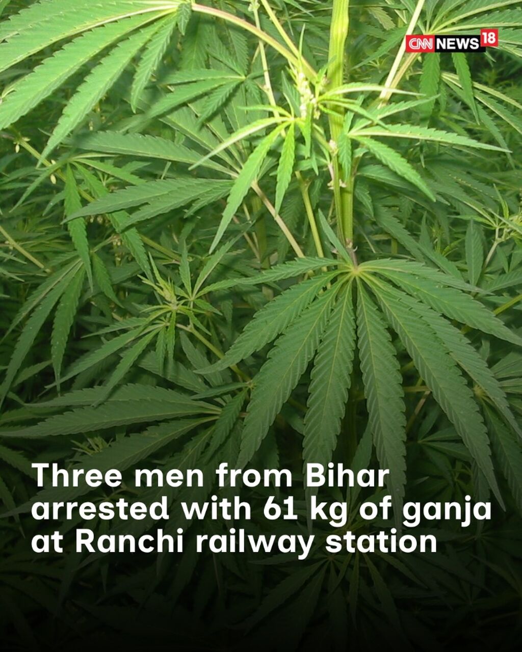Three men from Bihar arrested with 61 kg of ganja at Ranchi railway station