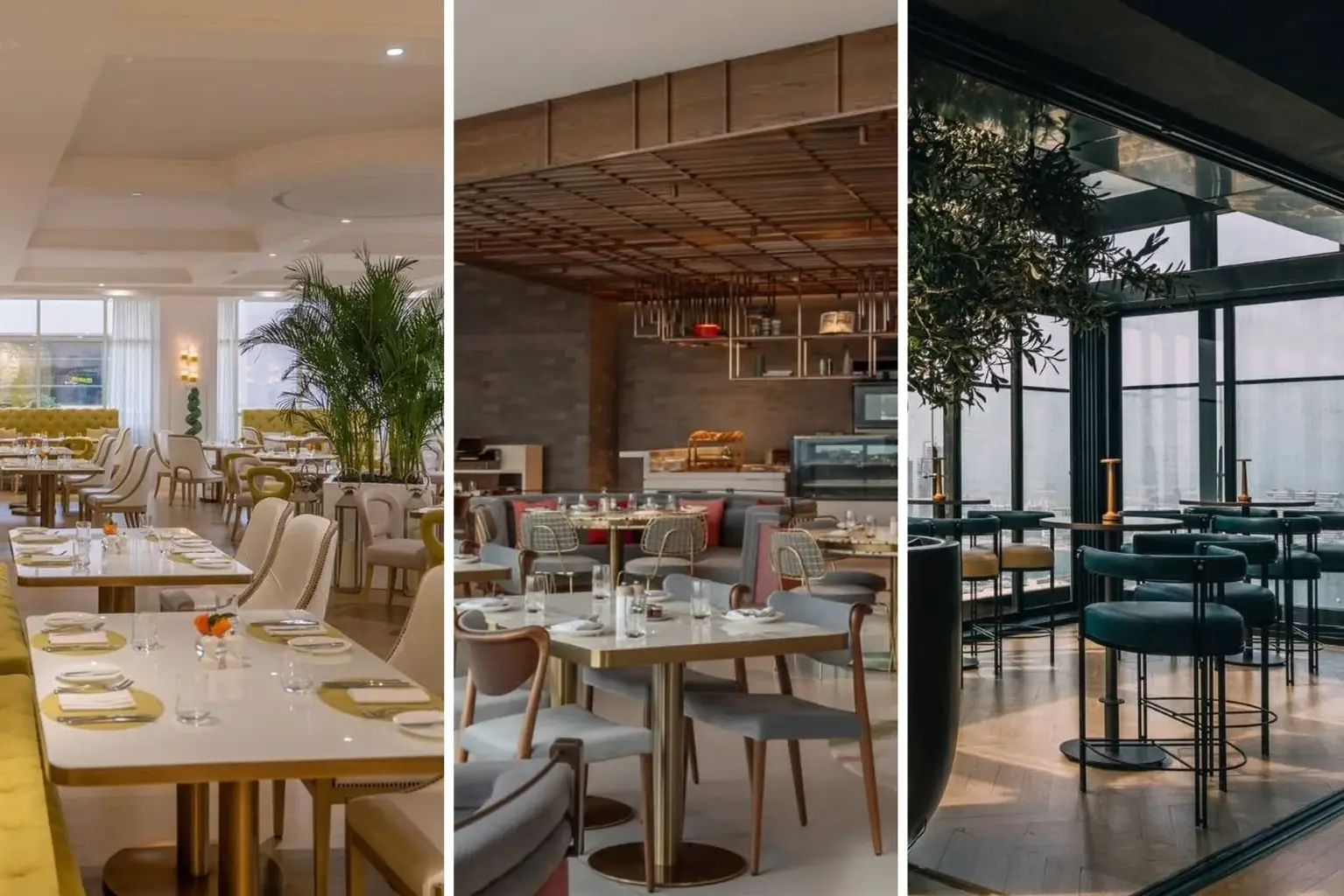 20+ European restaurants in Dubai where every dish served is crafted to perfection.