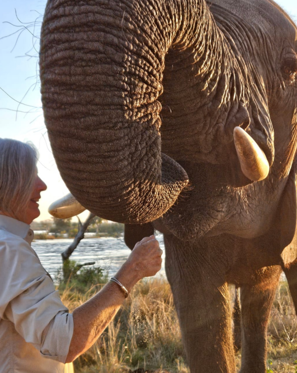 June 3: Zambia