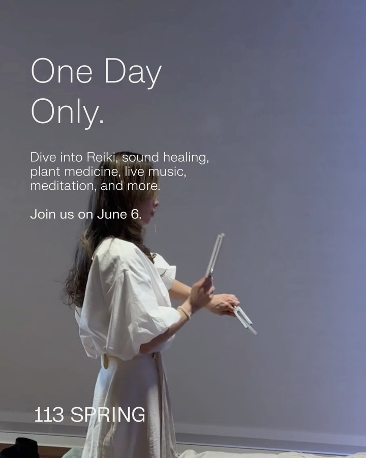 June 6 Open House at 113 Spring