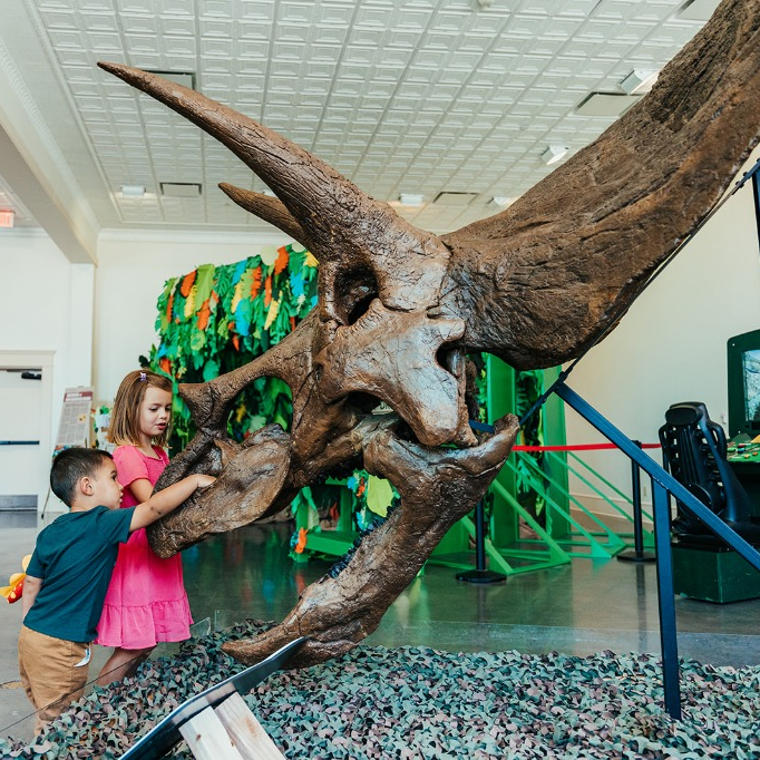 Top Things to Do with Kids in DFW This June