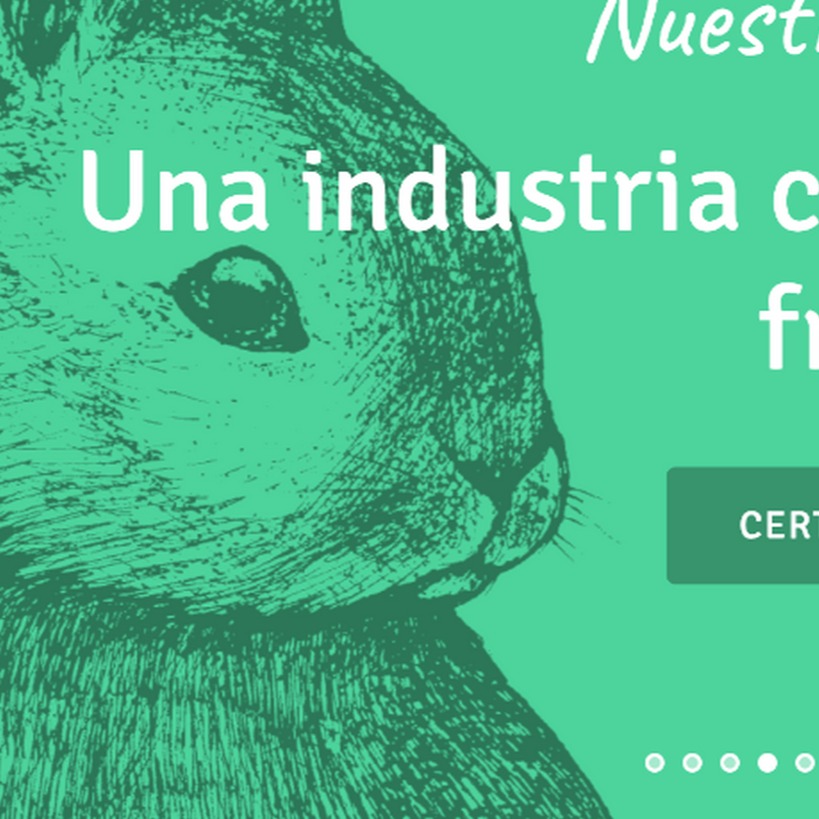 Nuestra Web💚