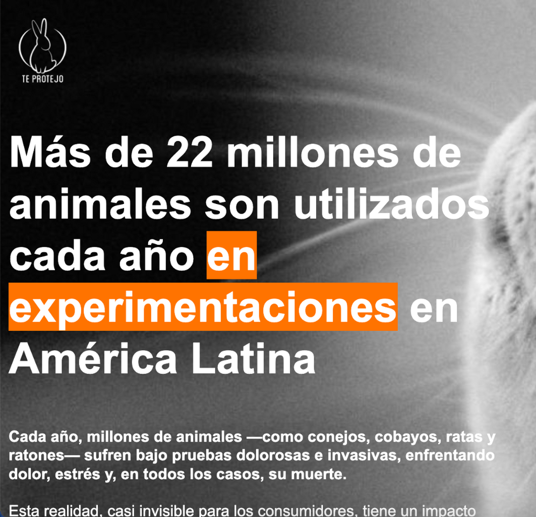 🌟Haz tu donaci&oacute;n🌟