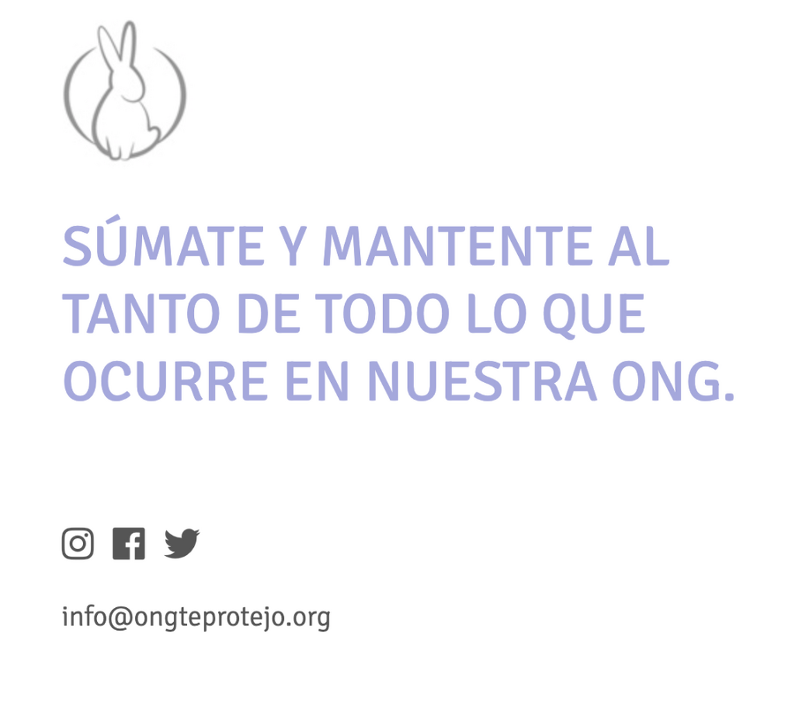 💚 Inscr&iacute;bete a nuestro Newsletter 💚