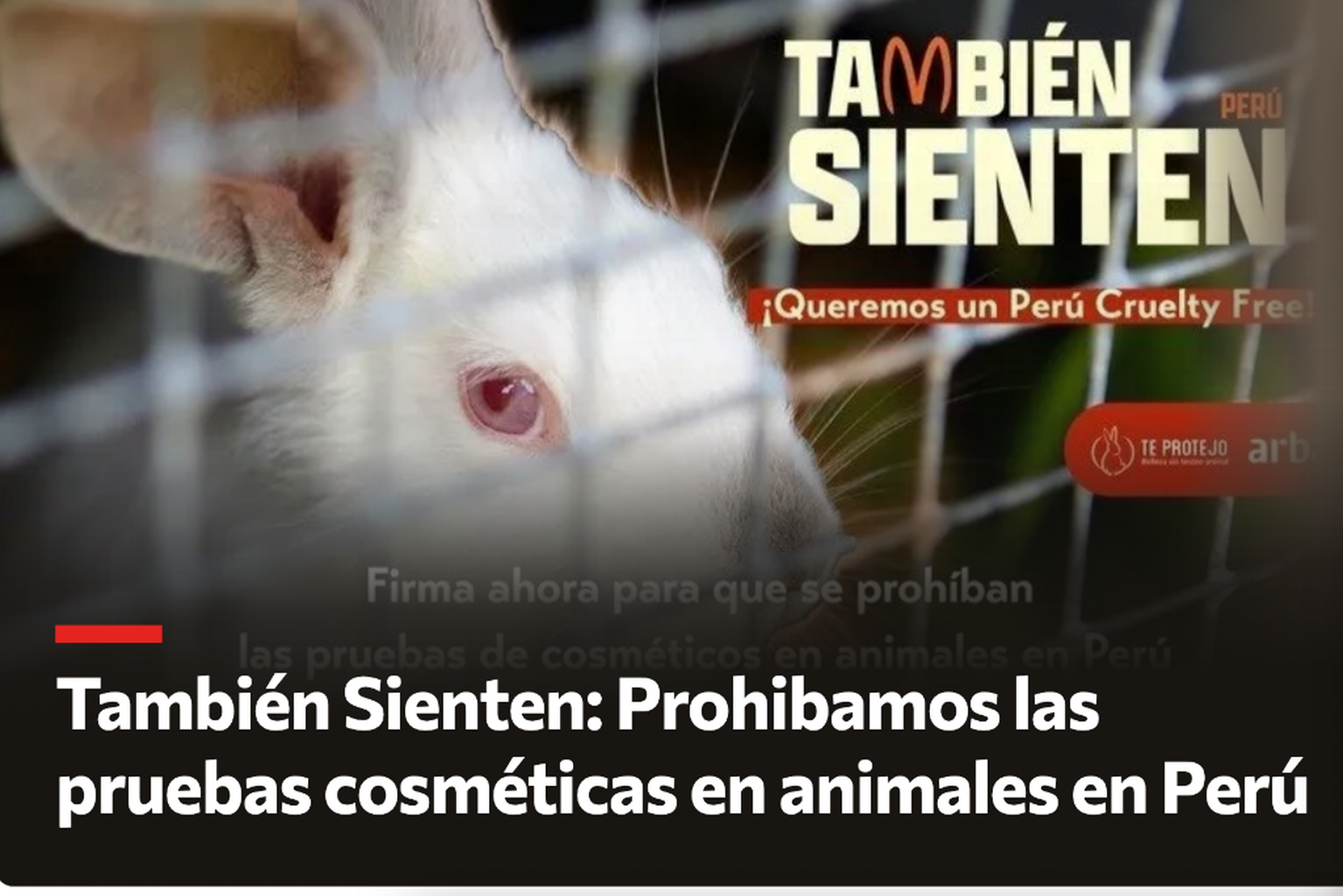 Tambi&eacute;n Sienten Per&uacute; 🇵🇪