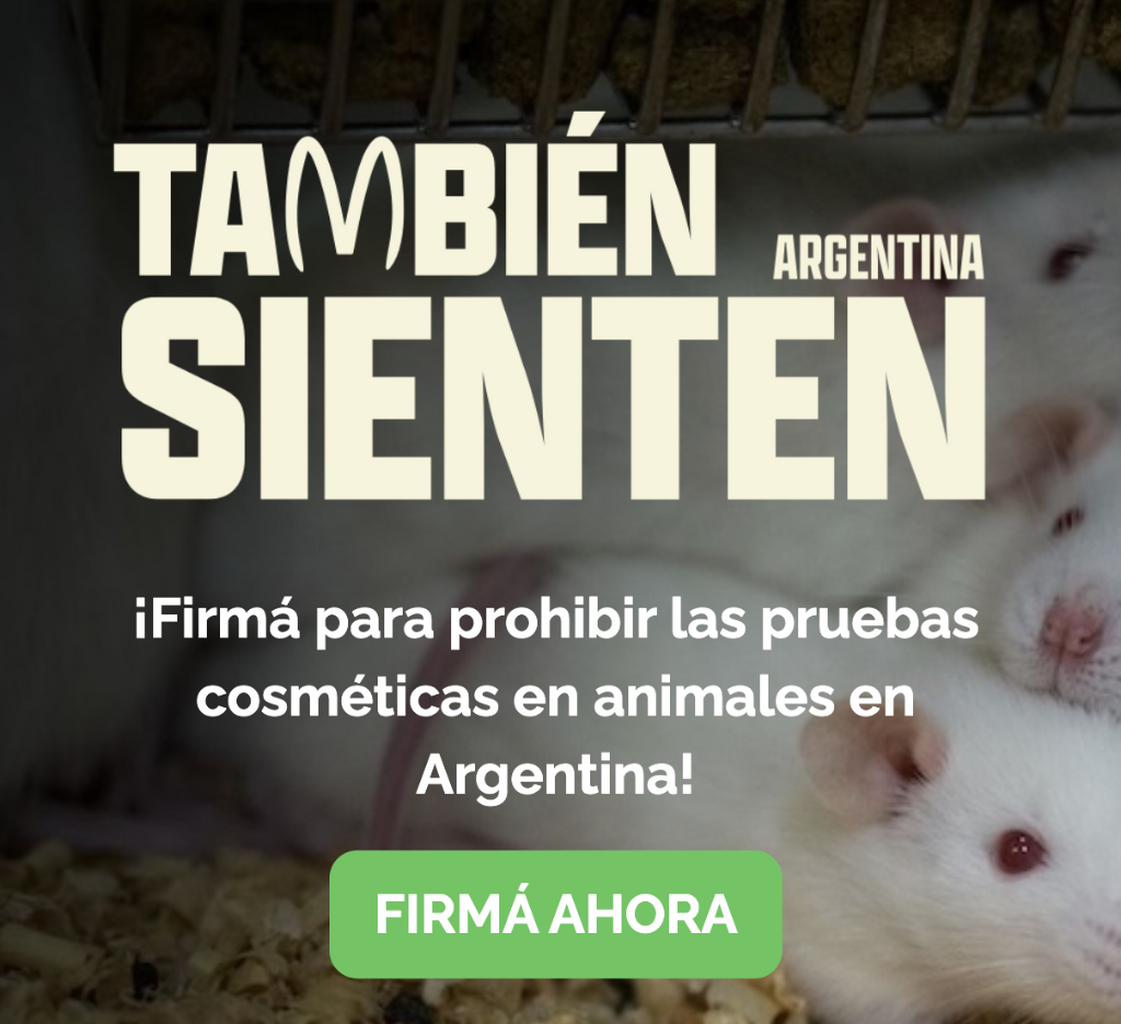  Tambi&eacute;n sienten Argentina 🇦🇷